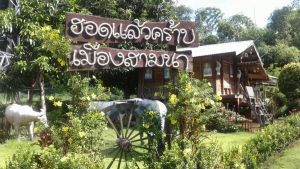 &quot;สวนสาธารณะเฉลิมพระเกียรติวังปลาพญายาง&quot;