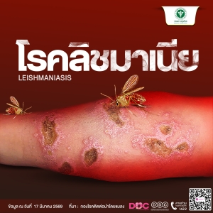 ทำความรู้จักกับโรคติดต่อที่มากับแมลงตัวจิ๋วแต่พิษสงร้ายกาจ พร้อมวิธีป้องกันตัวเองให้ปลอดภัย