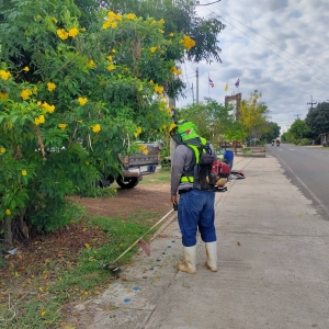 นางสาวชัญญานุช  สายทอง นายกเทศมนตรีตำบลนาเยีย มอบหมายเจ้าหน้าที่ งานรักษาความสะอาด กองสาธารณสุขและสิ่งแวดล้อม ลงพื้นที่ปฏิบัติงาน ตัดหญ้าและทำความสะอาดบริเวณไหล่ทางสองข้างทาง
