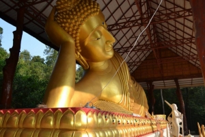วัดอุดมวนาสันต์ (สาขาวัดหนองป่าพงที่ ๓๑)
